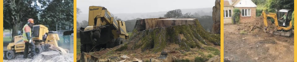 Tree Stump Removal North East